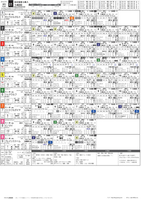 電子版