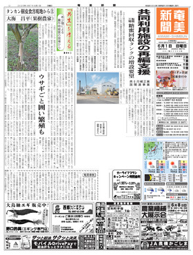 表紙画像