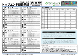 電子版