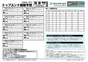 電子版